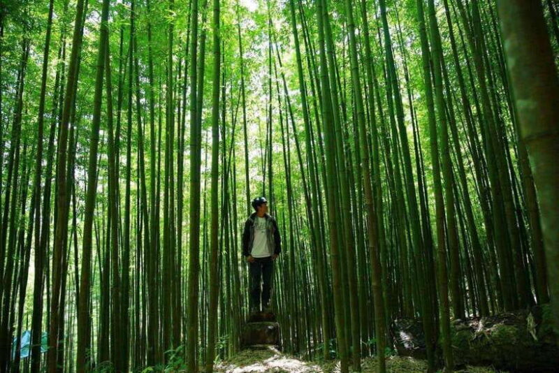 Mu Cang Chai: Motorbike Adventure with Waterfalls & Villages - Who Will Love This Tour?