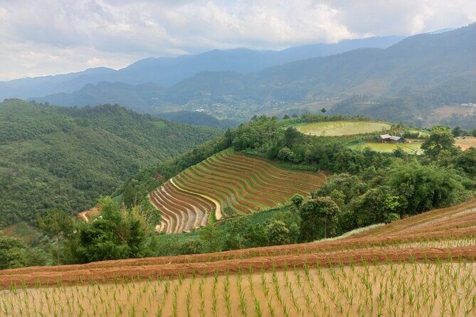 Mu Cang Chai One Day Trekking Tour With Local Guide - Practicalities and Tips