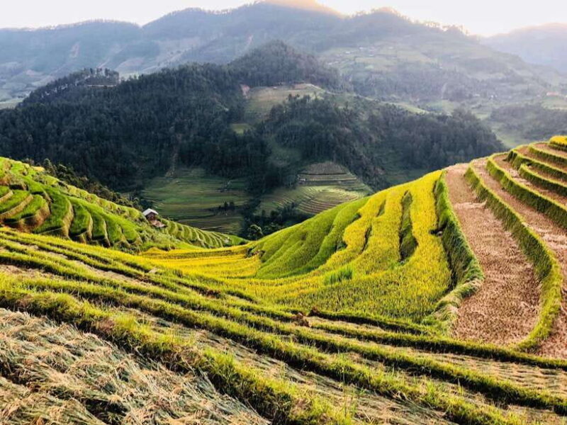 Mu Cang Chai: Private Car 1 day Tour with Local Guide - FAQs