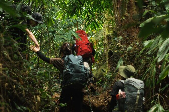 Mua Bay Binh Thuan 11 Miles Trekk From Sai Gon - Who Will Love This Tour?