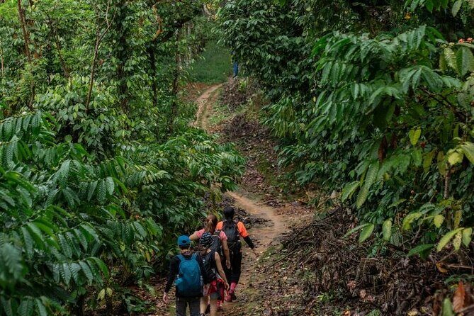 Mua Bay Binh Thuan 11 Miles Trekk From Sai Gon - Practical Details and Tips