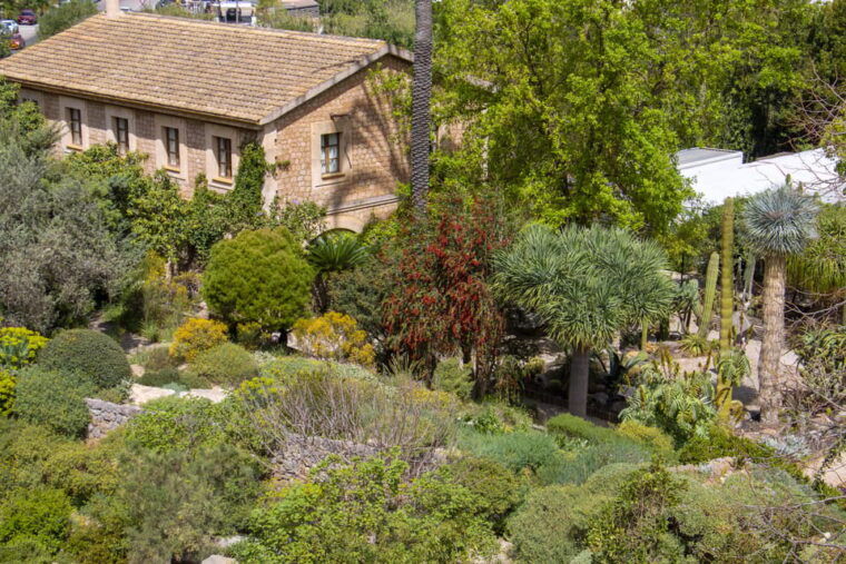 mucbo-botanical-garden-of-soller-balearic-museum-of-natural-sciences