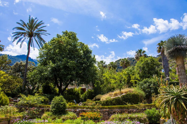 mucbo-botanical-garden-of-soller-balearic-museum-of-natural-sciences