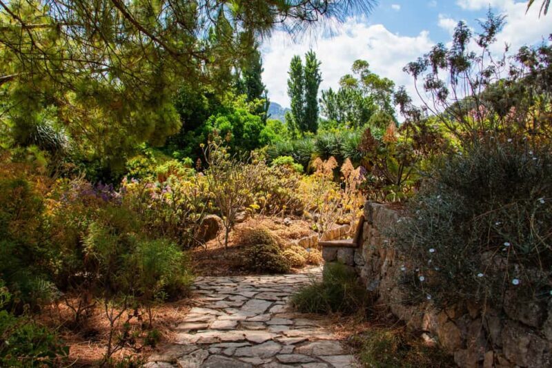 MUCBO | Jardí Botànic de Sóller - Balearic Museum of Natural Sciences - What Is the MUCBO: A Summary