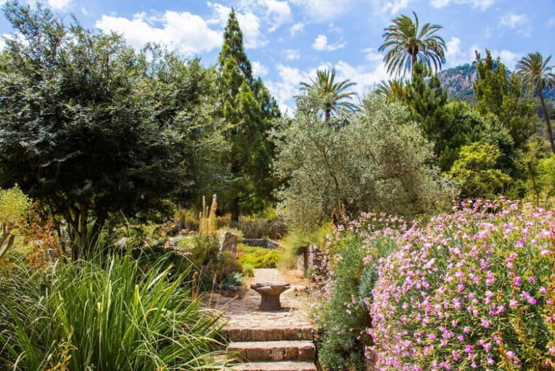 MUCBO | Jardí Botànic de Sóller - Balearic Museum of Natural Sciences - The Experience: What Youll See and Do