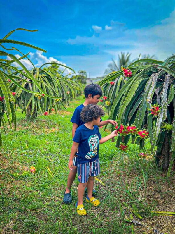 Mui Ne: Best day to Ta Cu Mountain Cable Car & Lying Buddha - Practical Tips & Considerations