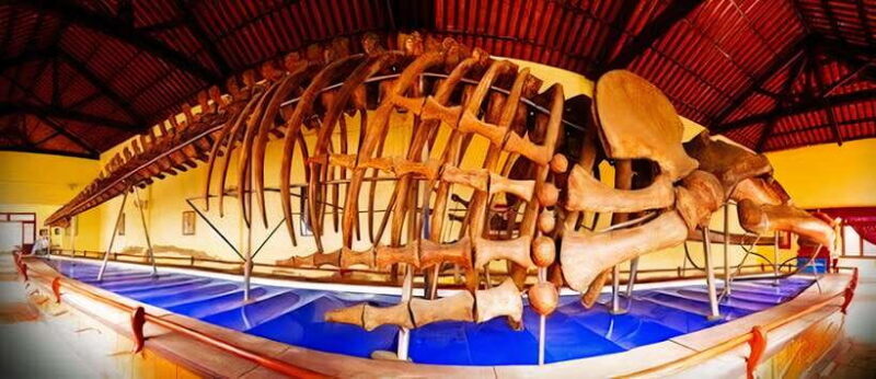 Mui Ne: Best day to Ta Cu Mountain Cable Car & Lying Buddha - Frequently Asked Questions