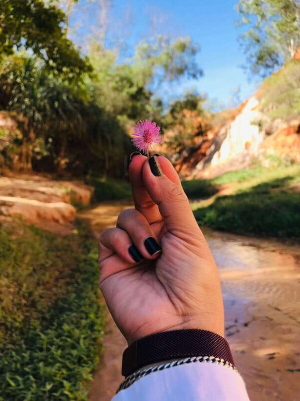 Mui Ne: Sunrise or Sunset Jeep Tour & Quad Bike With Driver - Who Would Love This Tour?