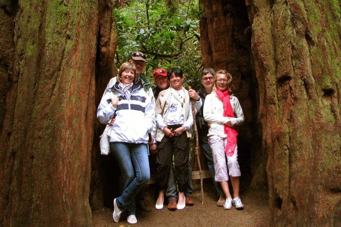 muir-woods-and-california-wine-country-8-hour-private-tour