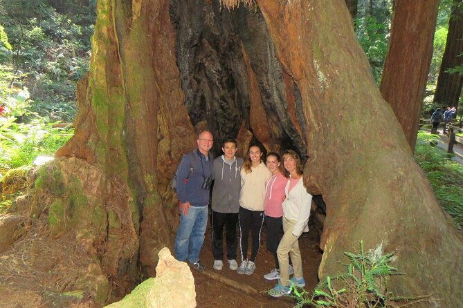 muir-woods-and-california-wine-country-8-hour-private-tour