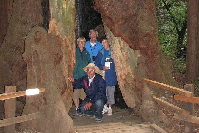 muir-woods-and-california-wine-country-8-hour-private-tour