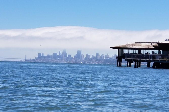 muir-woods-and-sausalito-afternoon-tour-small-group-half-day
