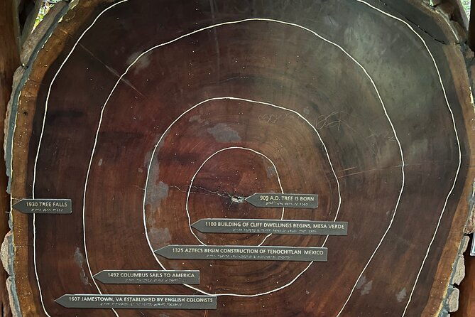 muir-woods-and-sausalito-private-tour