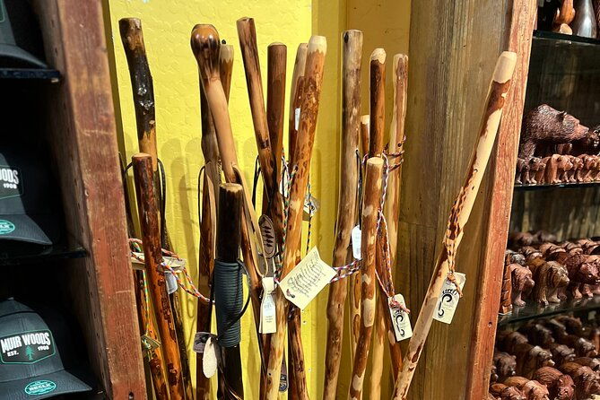 muir-woods-and-sausalito-private-tour