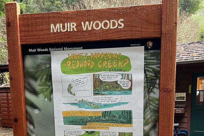 muir-woods-and-sausalito-private-tour