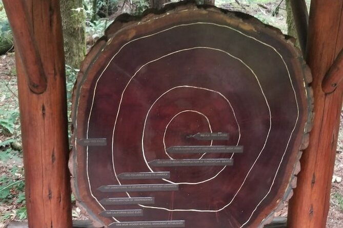 muir-woods-and-sausalito-tour-entrance-fee-included