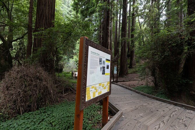muir-woods-and-sausalito-tour-entrance-fee-included