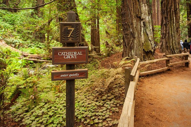 muir-woods-and-sausalito-tour-plus-bay-cruise