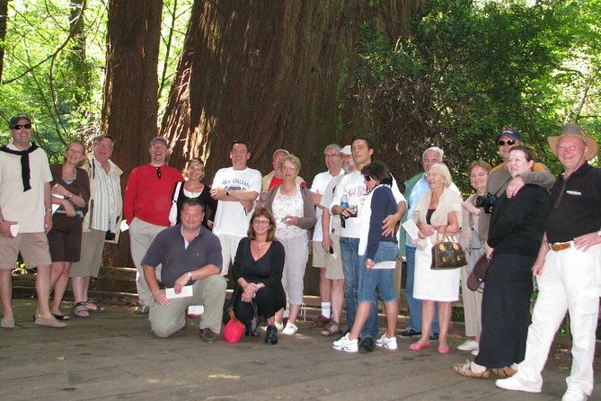 muir-woods-forest-morning-and-afternoon-private-tours