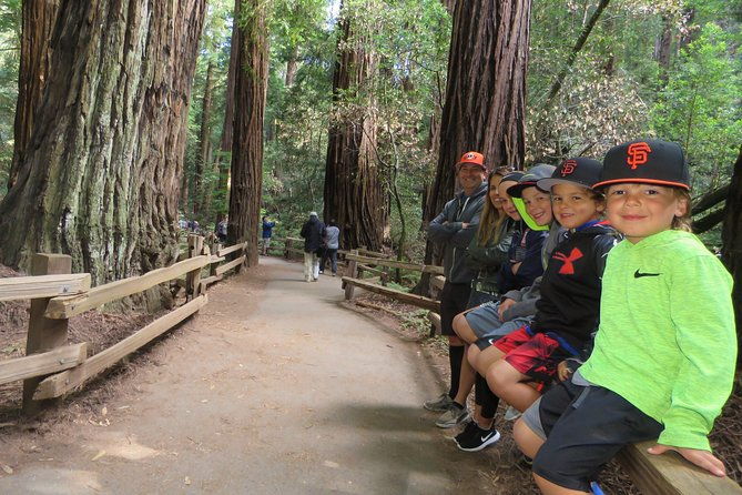 muir-woods-forest-morning-and-afternoon-private-tours