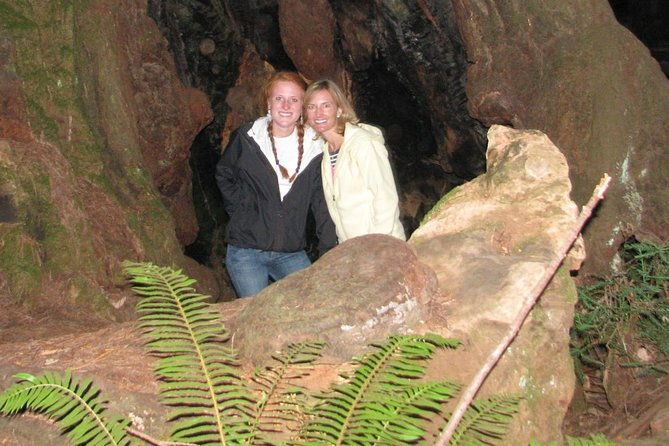 muir-woods-forest-morning-and-afternoon-private-tours