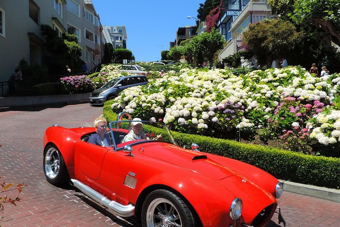 muir-woods-forest-morning-and-afternoon-private-tours