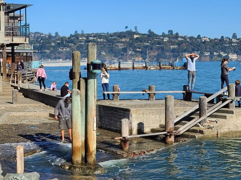 muir-woods-sausalito-and-ferry-back-to-fishermans-wharf