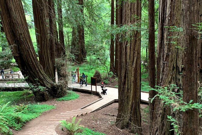 muir-woods-sausalito-and-golden-gate-bridge-2
