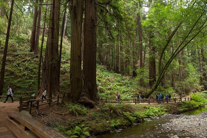 muir-woods-sausalito-half-day-tour-return-by-bus-or-ferry-from-sausalito