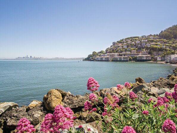 muir-woods-sausalito-tour-2