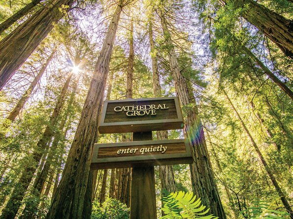 muir-woods-sausalito-tour-2