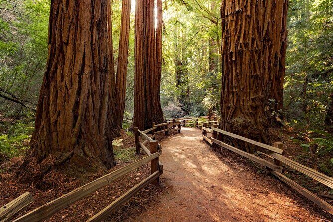 Muir Woods & Wine Tour: Redwoods & Tastings at 3 Wineries - Exploring the Muir Woods & Wine Tour: Redwoods & Tastings at 3 Wineries