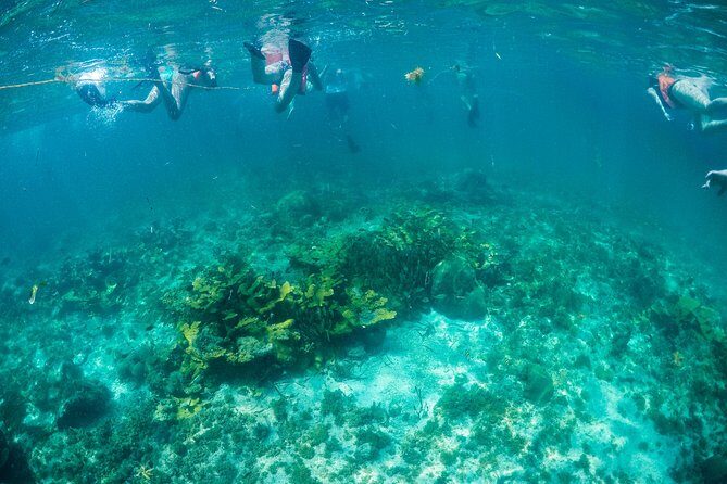 Mujeres Island Tour by Catamaran from Cancun City - Final Thoughts