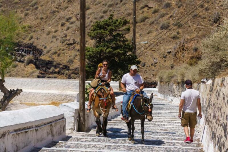 Mules Tour from Chefchaouen - Key Points