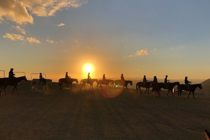 Mulholland Trail Horseback Tour - FAQ