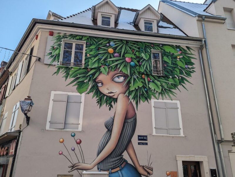 mulhouse-highlights-walking-tour-with-a-local-guide