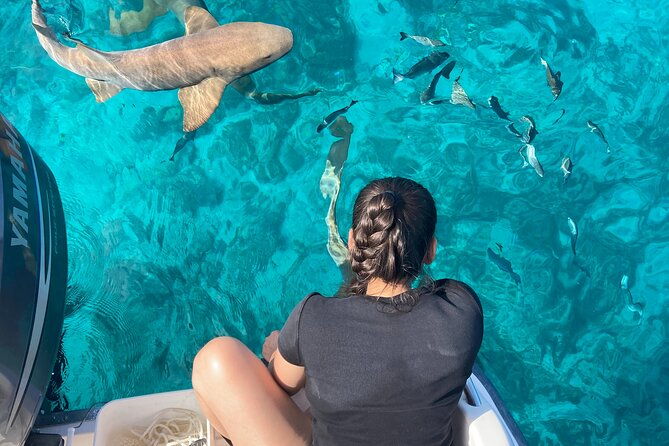 multi-activity-private-charter-boat-in-key-largo