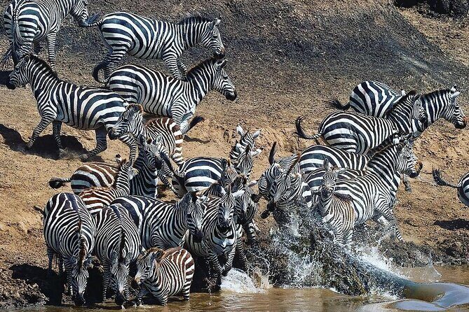 Multi-Day Camping Safari Experience in Arusha - Who Will Love This Safari?