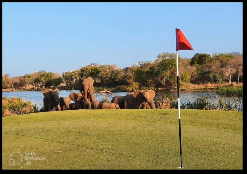 Multi-day Golf & Kruger Park Safari Tour from Johannesburg - Key Points