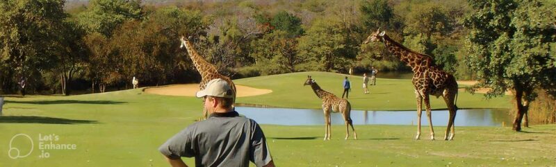 Multi-day Golf & Kruger Park Safari Tour from Johannesburg - Practical Tips for Travelers