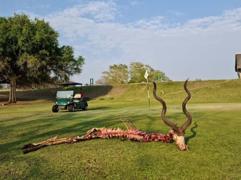 Multi-day Golf & Kruger Park Safari Tour from Johannesburg - The Sum Up