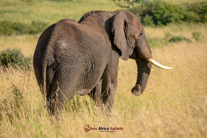 Multi Day Masai Mara Lake Nakuru Park Hellsgate Park Tour - Final Thoughts