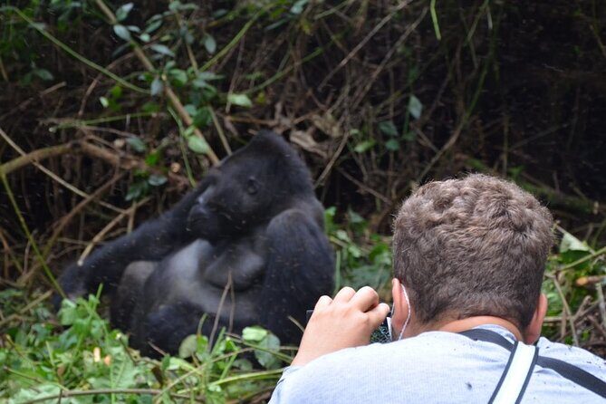 Multi Day Private Gorillas and Chimpanzee Trekking Tour in Uganda - The Itinerary in Detail