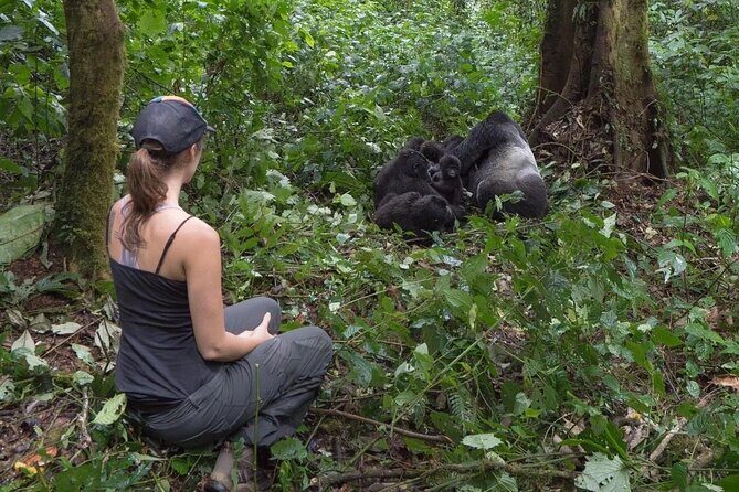 Multi Day Private Gorillas and Chimpanzee Trekking Tour in Uganda - The Sum Up