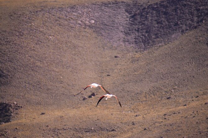 multi-day-tour-in-san-pedro-de-atacama-with-pickup