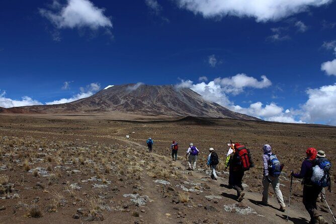 Multi-Day Tour RONGAI Route Kilimanjaro Trekking - Key Points