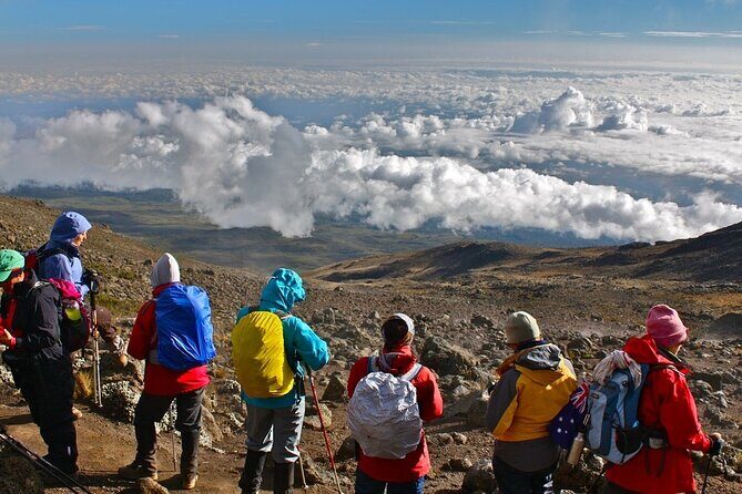 Multi-Day Tour RONGAI Route Kilimanjaro Trekking - The Itinerary in Detail: What to Expect