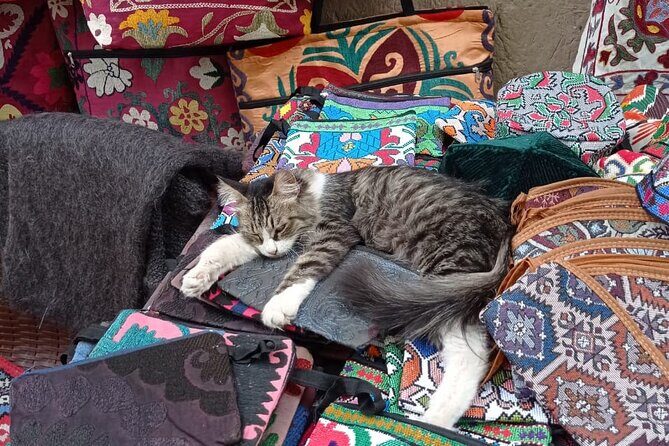 Multi Day Tour Through the Desert and Cities of Uzbekistan - Key Points