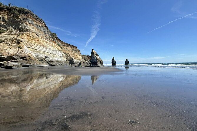 Multi Day Tour to New Plymouth and Taranaki Region from Hamilton - Who Would Love This Tour?