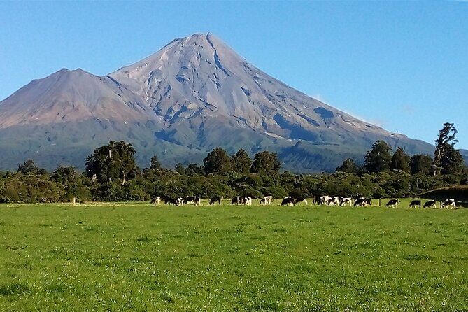 Multi Day Tour to New Plymouth and Taranaki Region from Hamilton - FAQs